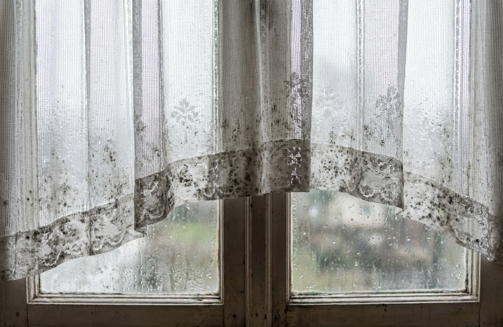 レースカーテンのカビの落とし方｜洗濯機で落ちない黒カビを消す「つけおき」手順